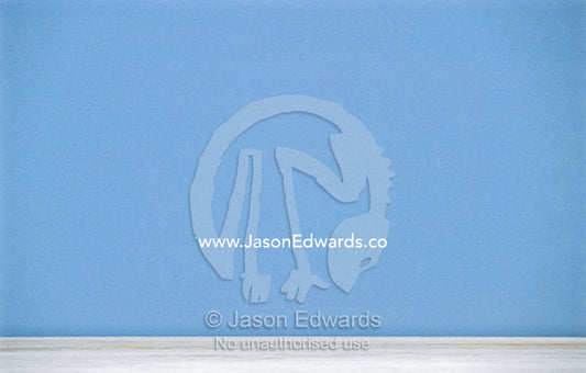 A vast blue sky touches the horizon over featureless white salt pan. Etosha National Park, Namibia.