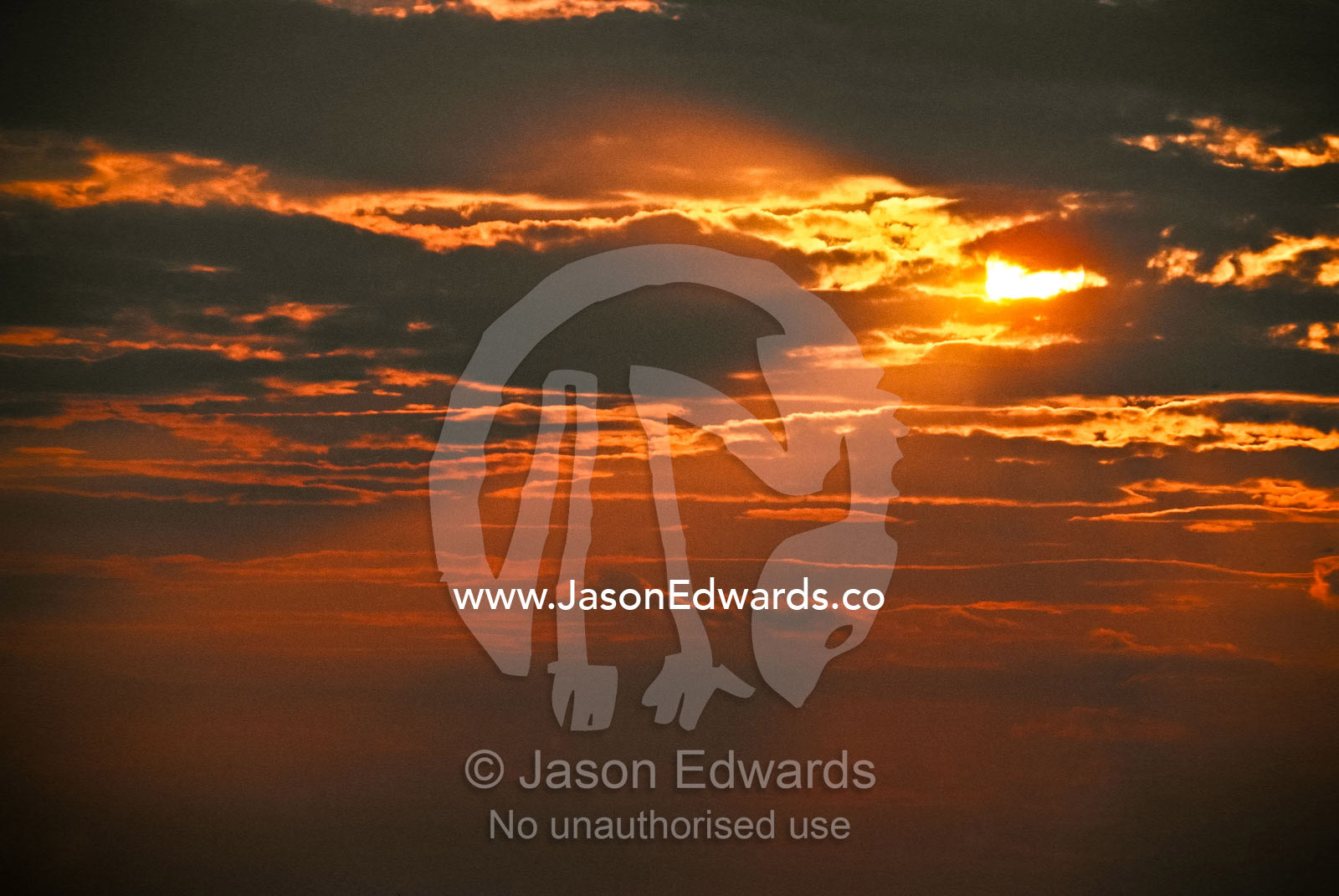 The golden and red hues of a sunset piercing a stormy dry season sky. Etosha National Park, Namibia.