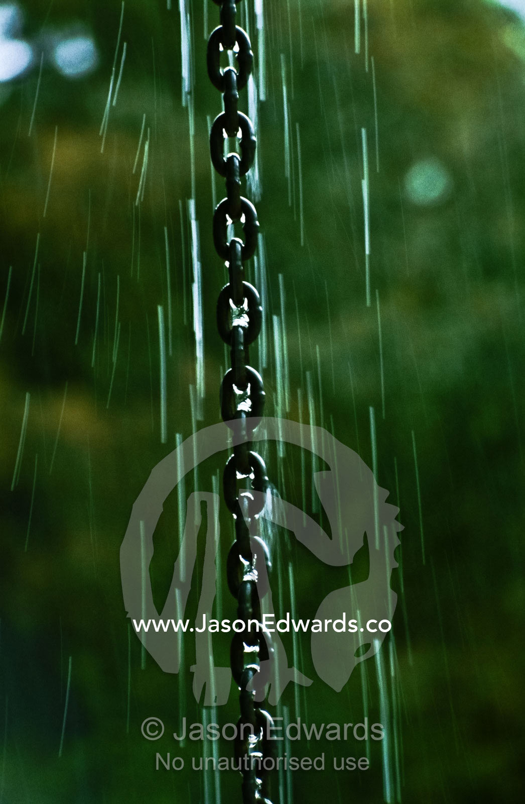 Raindrops cascade down the links of a steel chain hanging from a roof. Healesville, Victoria, Australia.