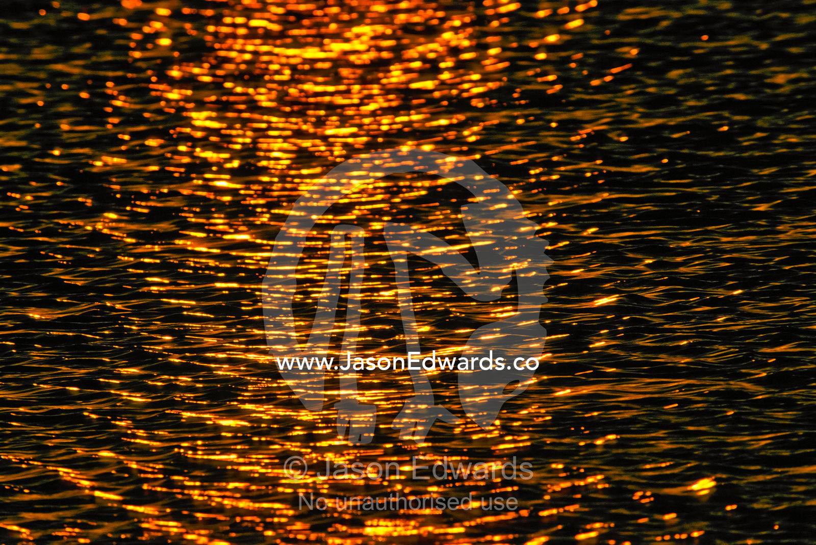 Sunset reflecting off the rippled surface of Lake Borrie Wetlands. Western Treatment Plant, Werribee, Victoria, Australia.