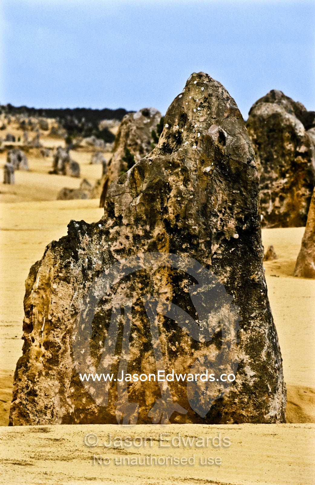 Ancient limestone pillars known as the Pinnacles rise from the desert. Nambung National Park, Western Australia.