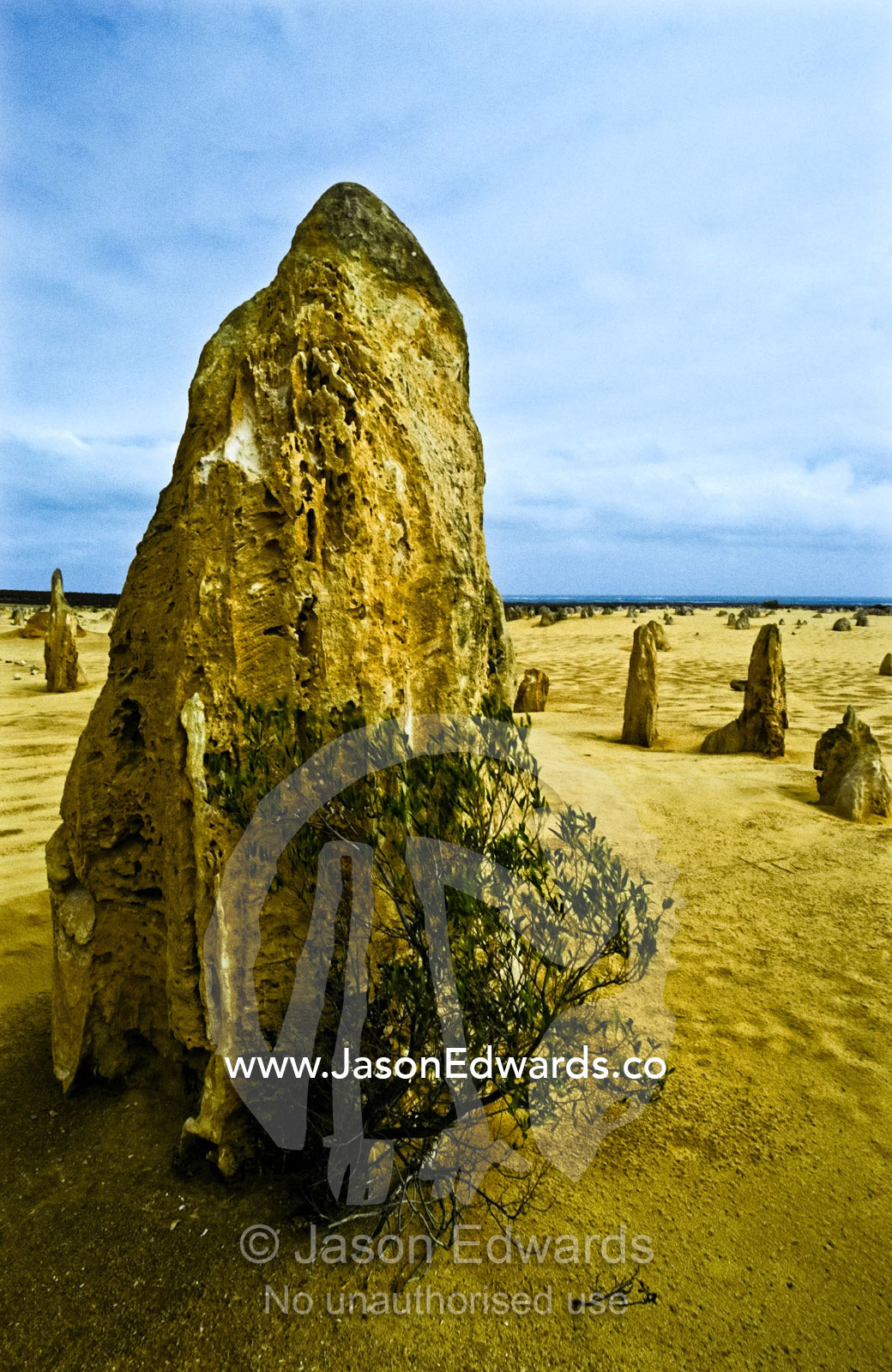 Ancient limestone pillars known as the Pinnacles rise from the desert. Nambung National Park, Western Australia.