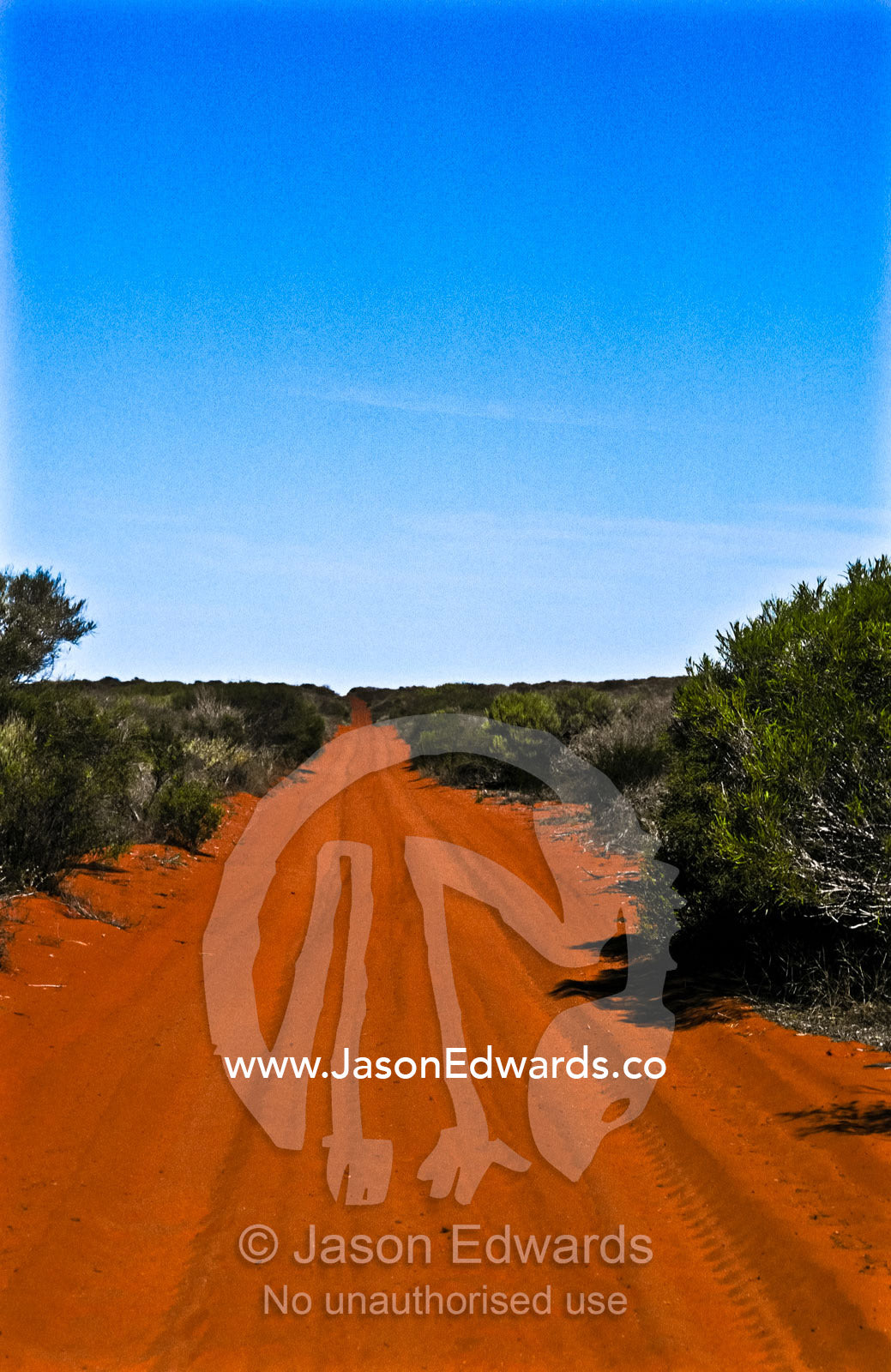 A remote desert track passes over the crest of a deep red sand dune. Francois Peron National Park, Western Australia, Australia.