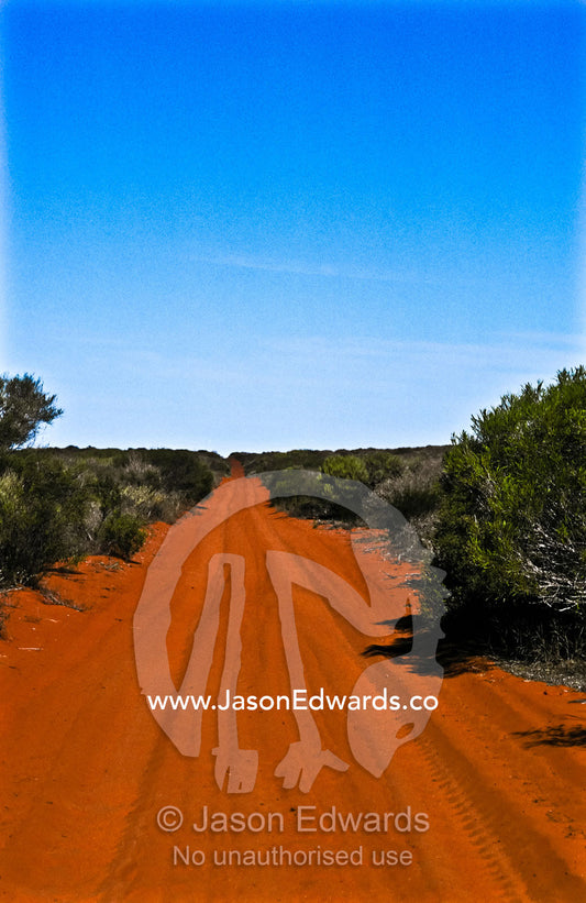 A remote desert track passes over the crest of a deep red sand dune. Francois Peron National Park, Western Australia, Australia.