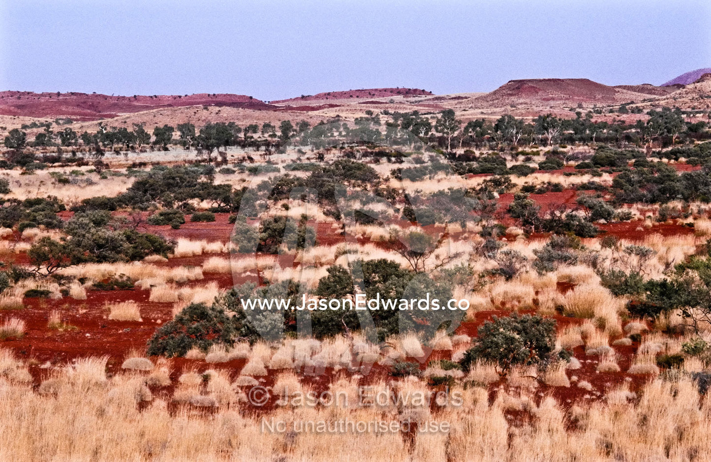 Spinifex surrounds the base of a desert mesa rising from the plain. Pilbara Ranges, Hammersley Ranges, Karijini National Park Western Australia,  Australia.
