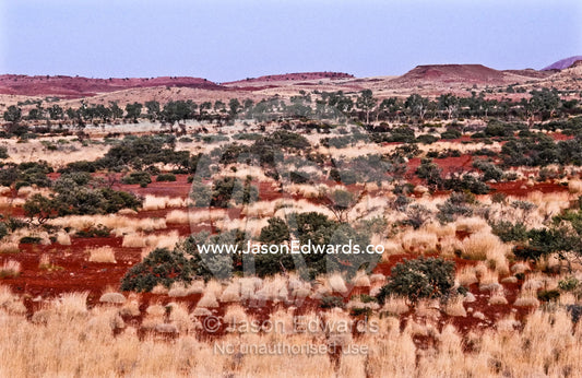 Spinifex surrounds the base of a desert mesa rising from the plain. Pilbara Ranges, Hammersley Ranges, Karijini National Park Western Australia,  Australia.