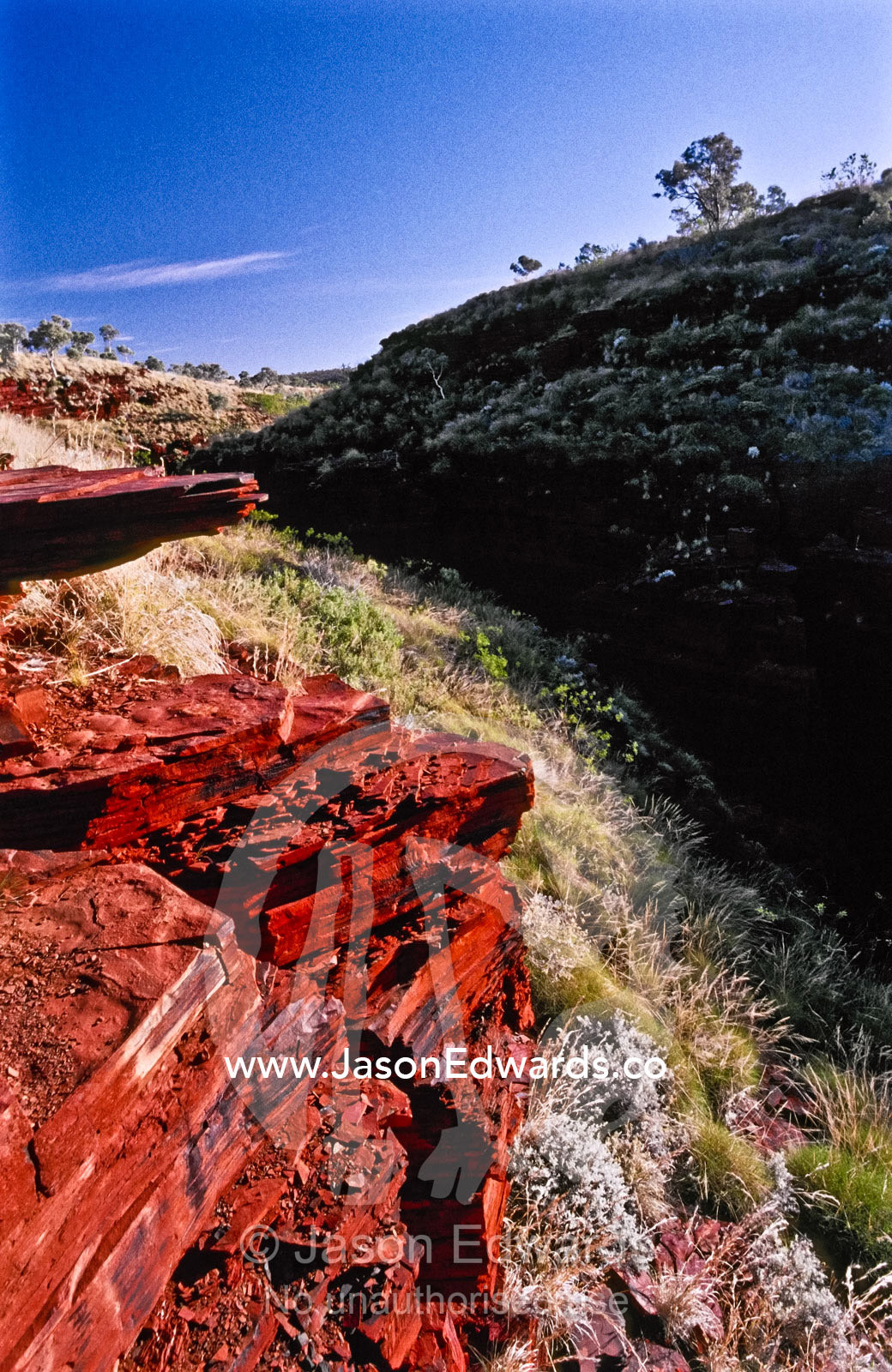 Spinifex Grass lines the walls of a rich red volcanic desert gorge. Hamersley Ranges, Karijini National Park, Western Australia, Australia.