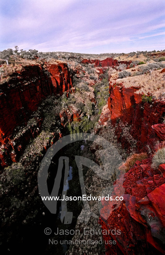 Spinifex Grass lines the walls of a deep red volcanic desert gorge. Hamersley Ranges, Karijini National Park, Western Australia, Australia.
