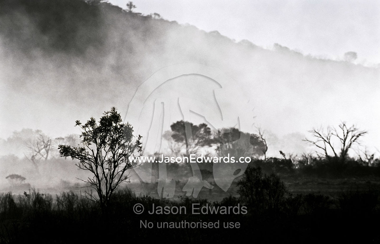 A dust storm chokes the valley floor between small desert mountains. Watarrka National Park, Northern Territory, Australia.