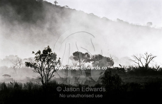 A dust storm chokes the valley floor between small desert mountains. Watarrka National Park, Northern Territory, Australia.