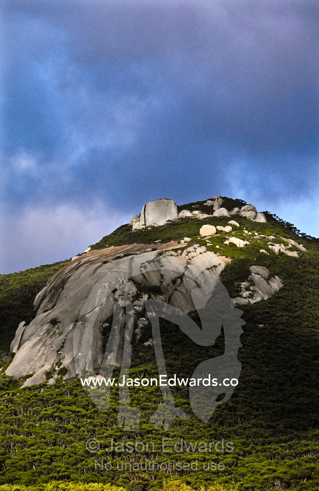 A granite mountaintop pierces a dense forest beneath brooding clouds. Wilsons Promontory National Park, Victoria, Australia.