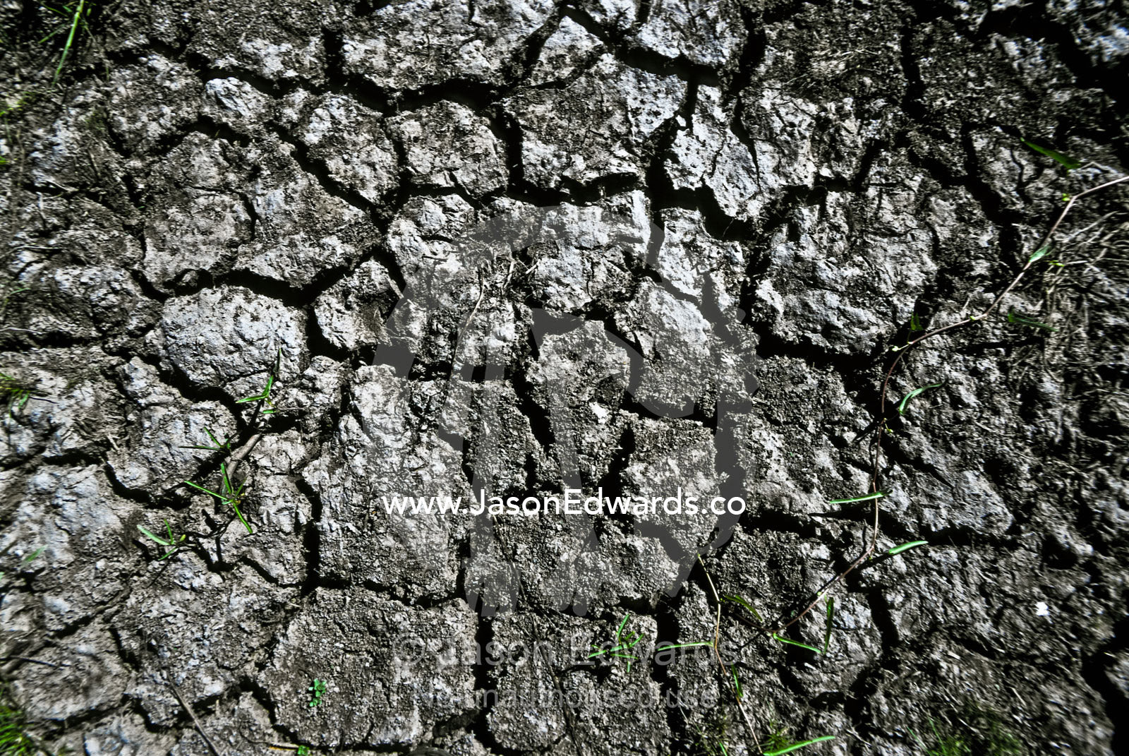 Cracked wetland mud beneath a baking sun during the Top End dry season Kakadu National Park, Northern Territory, Australia.
