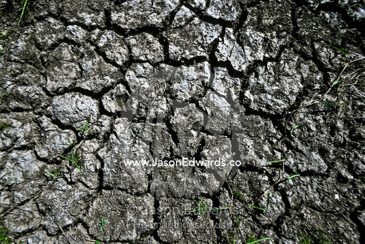Cracked wetland mud beneath a baking sun during the Top End dry season Kakadu National Park, Northern Territory, Australia.