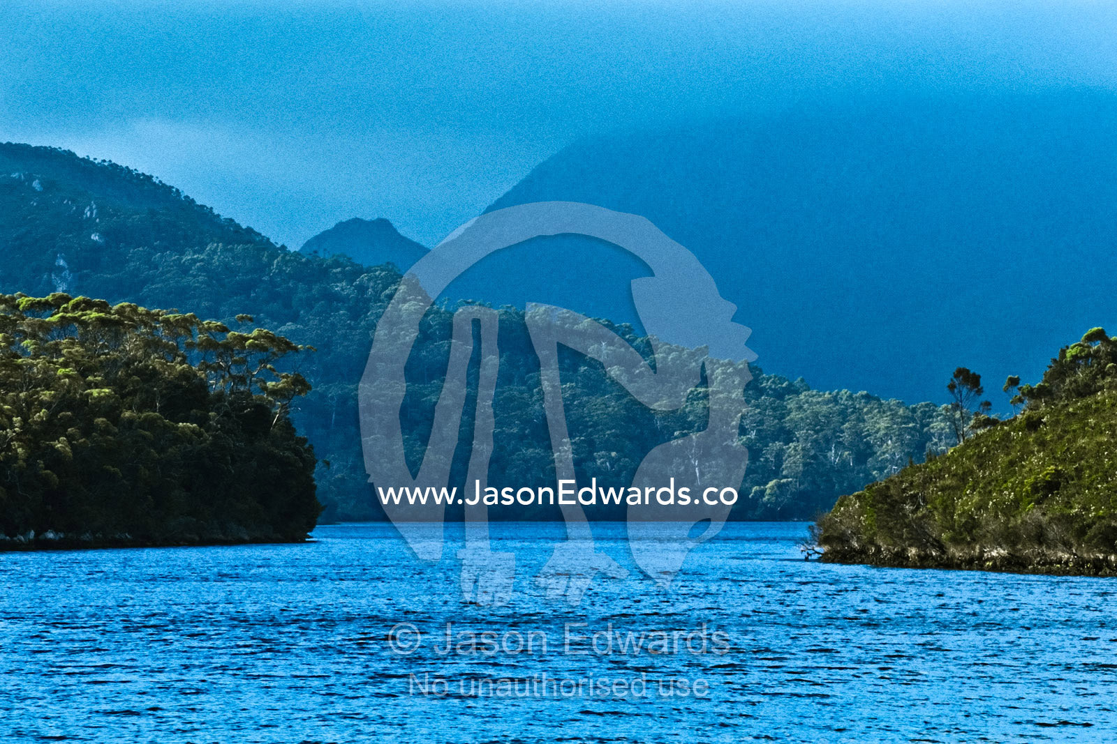 A passage between two islands leads to a sheltered bay thick in forest South West Wilderness, Southwest National Park, Tasmania, Australia.