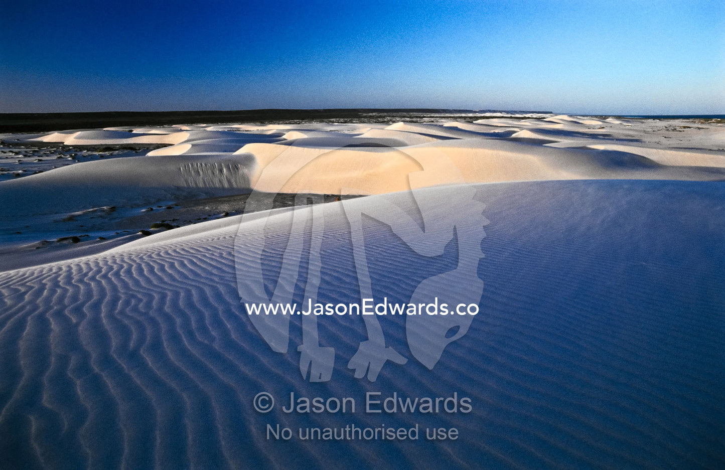Wind whips sand across the surface of a rippled dune after sunset. Roe Plains, Old Eucla, Western Australia, Australia.