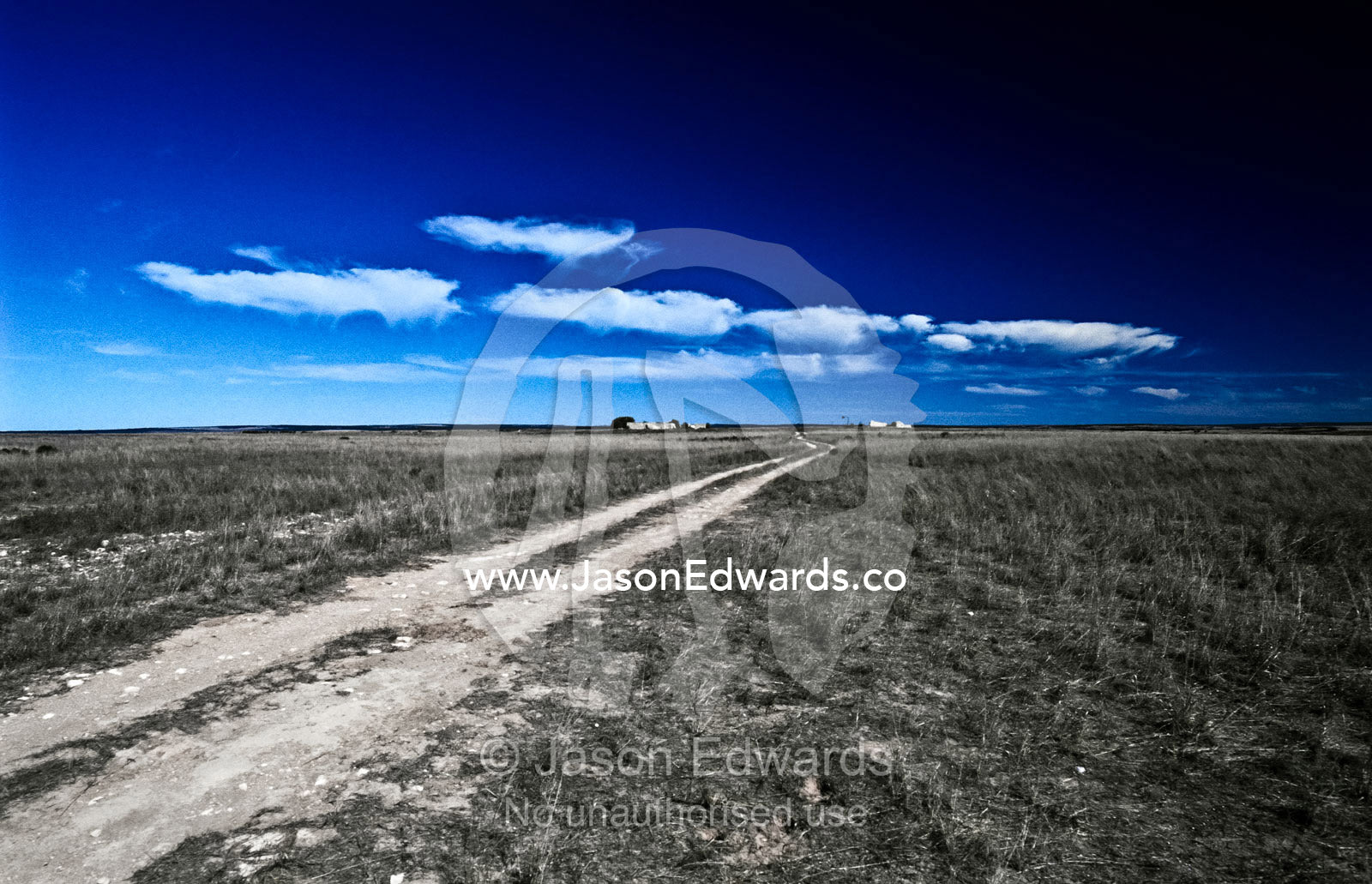 A track through harsh Spear Grass rangelands on a featureless plain. Nullarbor Plain, South Australia, Australia.