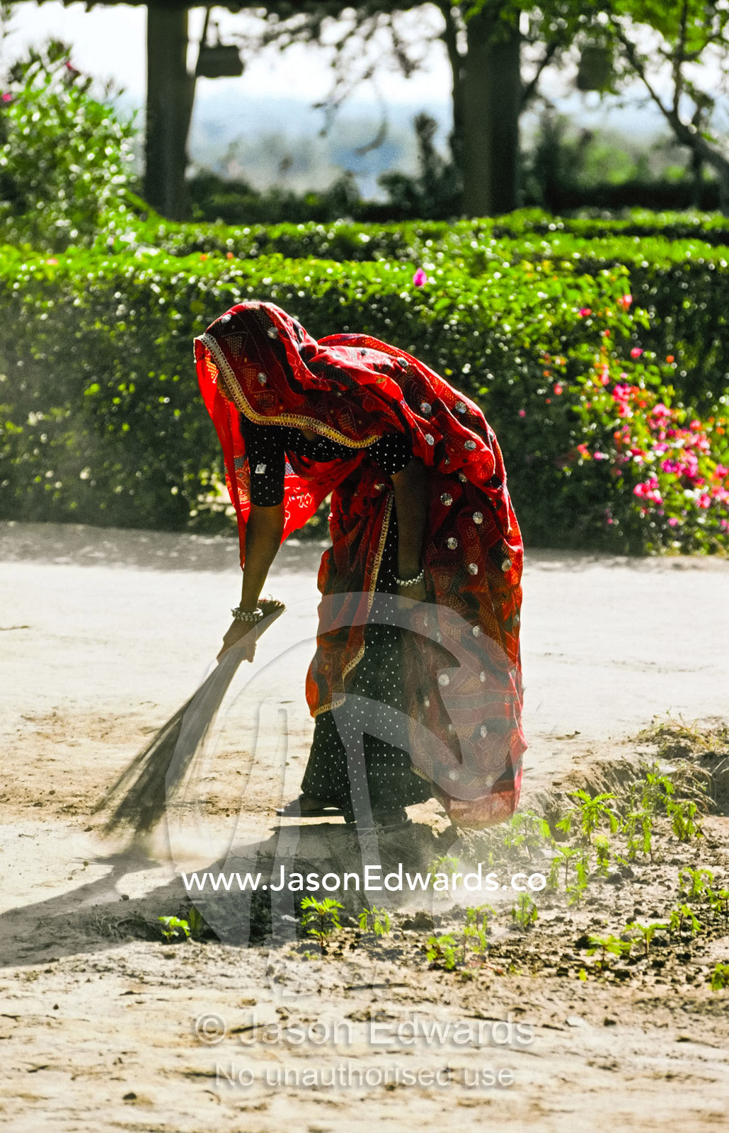 A woman dressed in bright red silk sweeps a palace path clean of dust. Mandawa, Rajasthan, India.