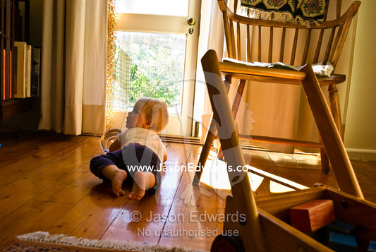 A baby crawling along the floor tips over a dogs water bowl for fun. Castlemaine, Victoria, Australia.