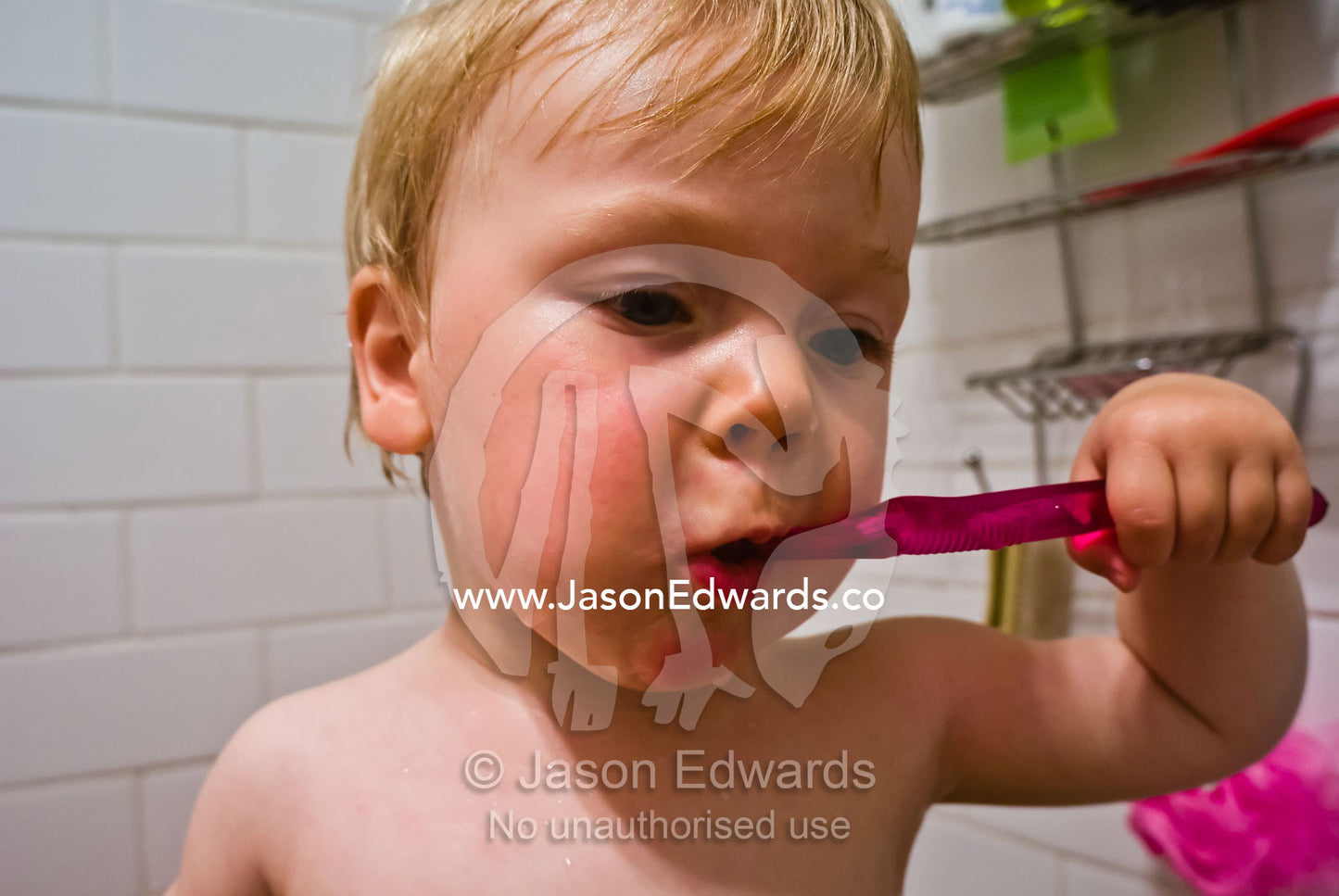 A toddler diligently learning to brush his teeth in the bath. North Carlton, Victoria, Australia.