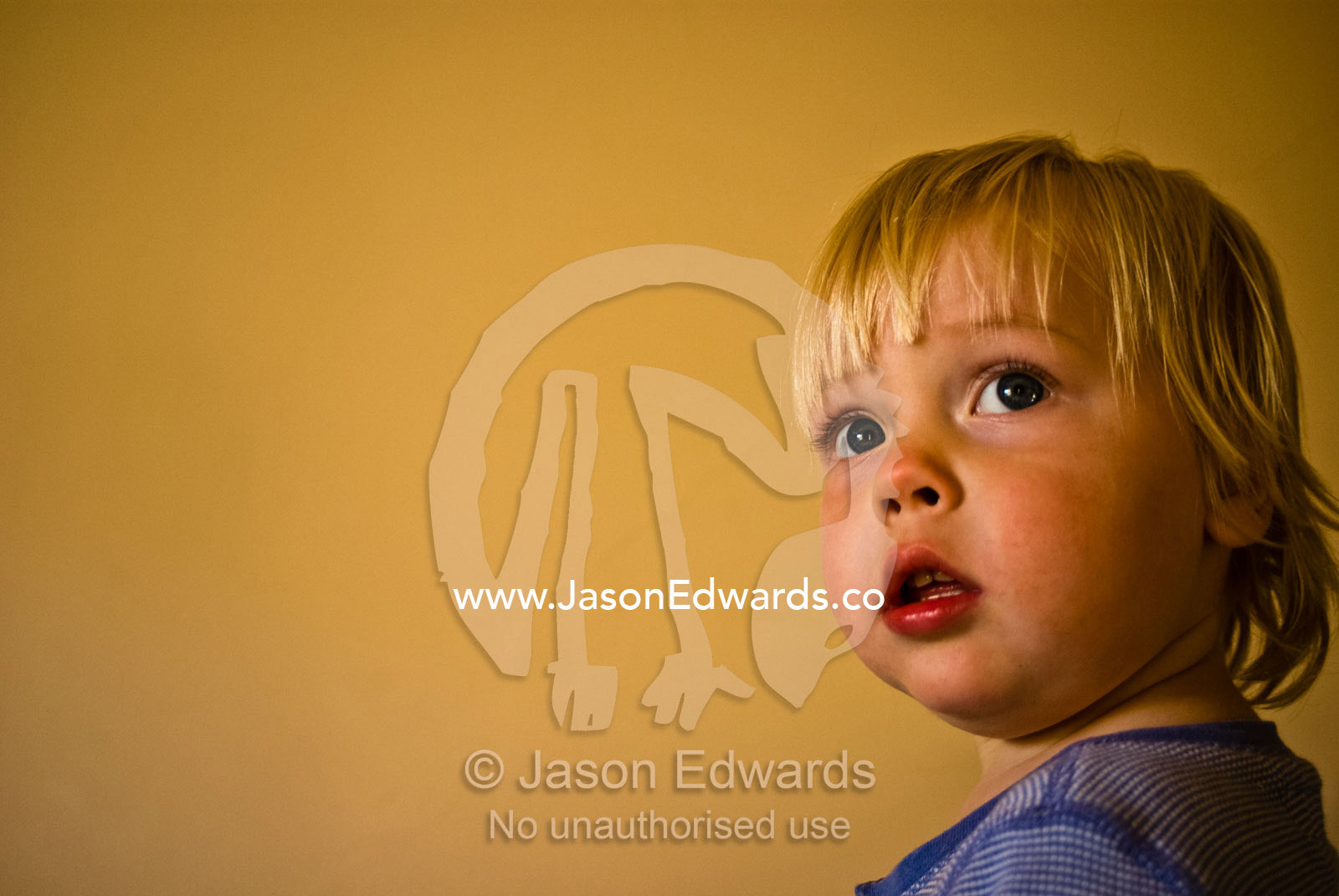 The delicate and angelic features of a blue-eyed, fair-haired toddler. North Carlton, Victoria, Australia.