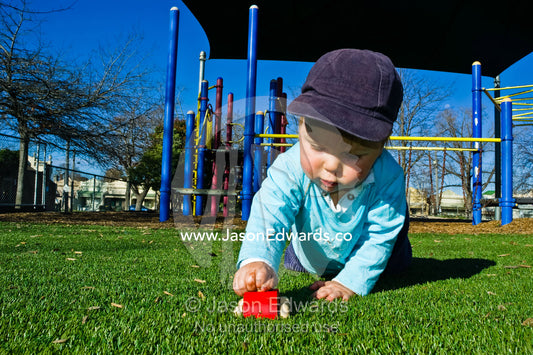 A young boy focuses on playing with his wooden car in a playground. Carlton North, Victoria, Australia.