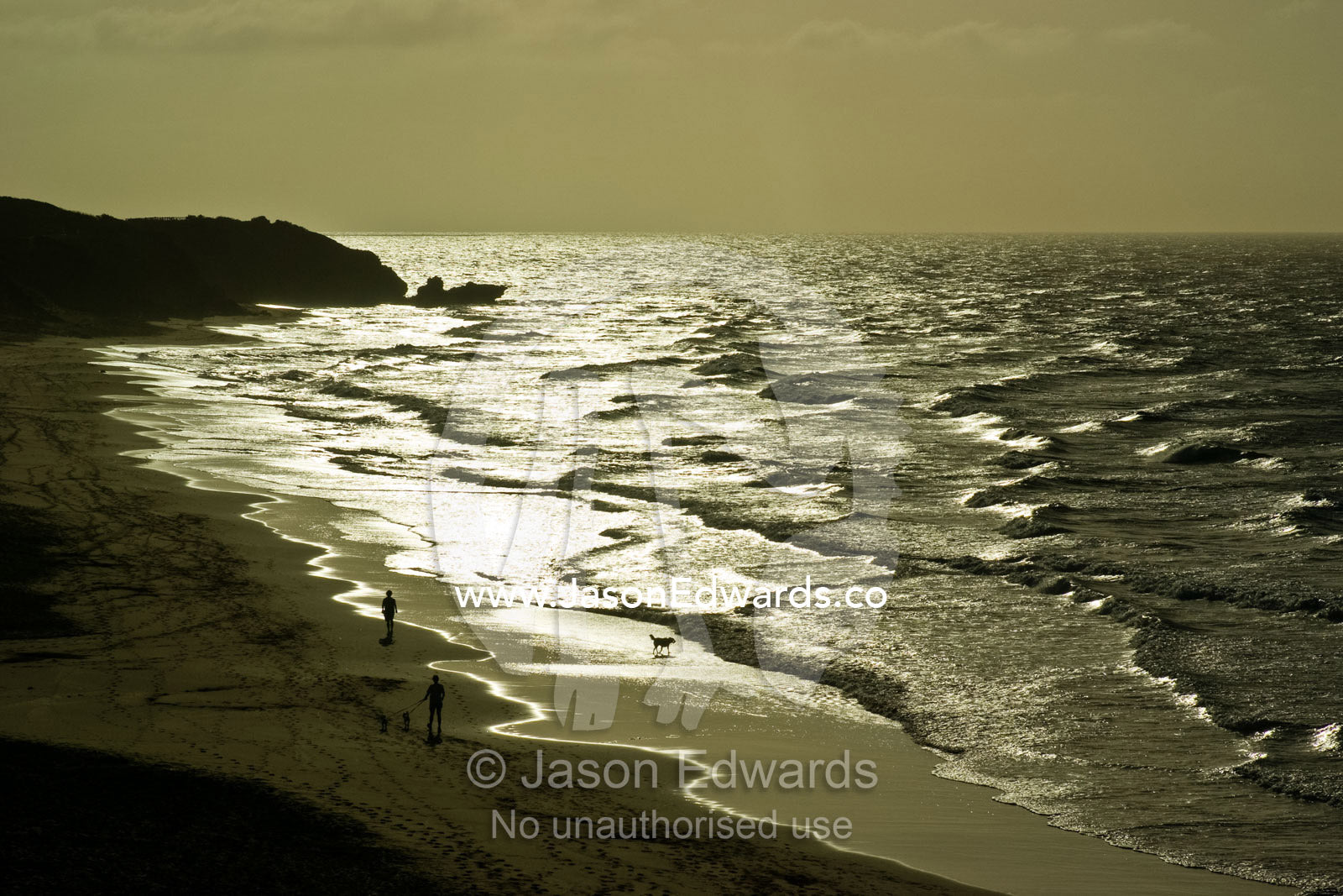 People exercise their dogs on a beach pounded by waves in the morning. Haystacks, Jan Juc, Surf Coast, Victoria, Australia.