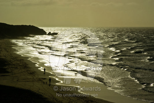 People exercise their dogs on a beach pounded by waves in the morning. Haystacks, Jan Juc, Surf Coast, Victoria, Australia.