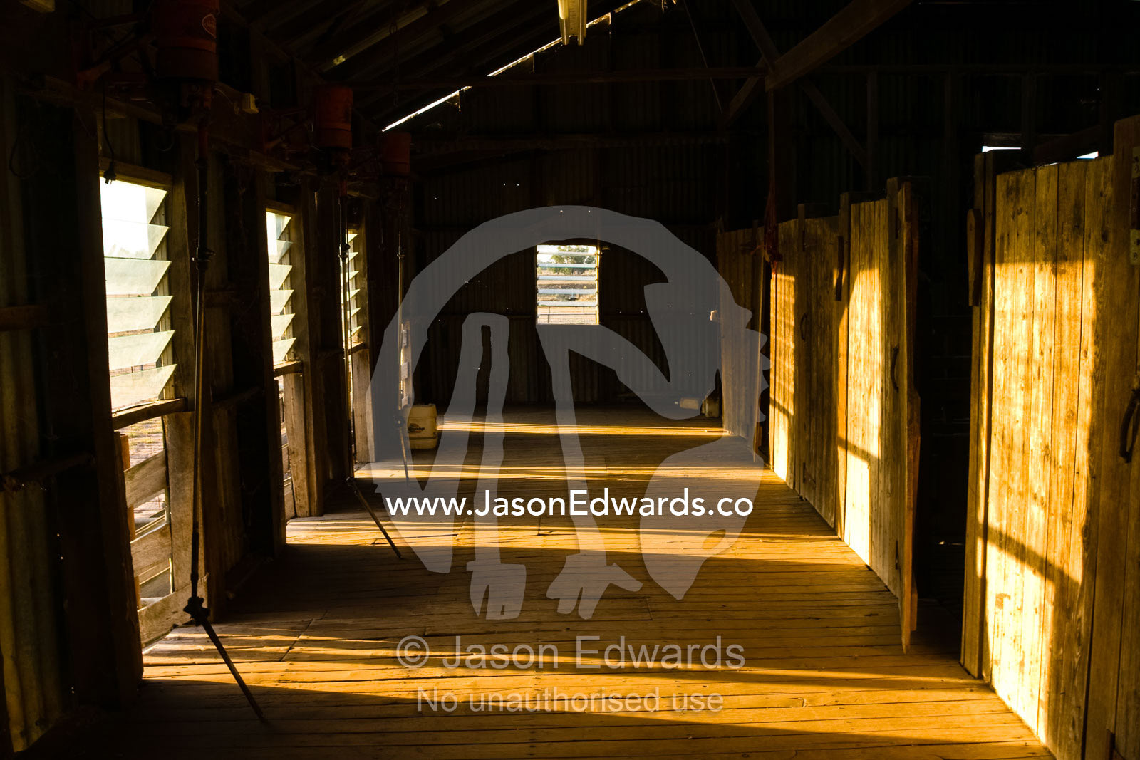 Late afternoon sun pours into an operational antique shearing shed. Mundiwa Station, Deniliquin, New South Wales, Australia.