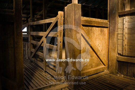 Late afternoon sun falls on a corral door in an antique shearing shed. Mundiwa Station, Deniliquin, New South Wales, Australia.