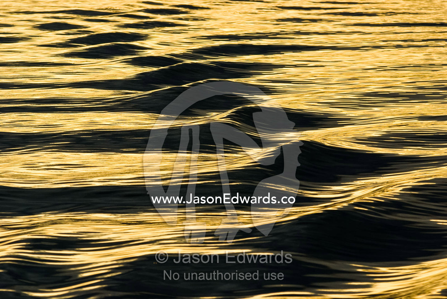 Golden sunlight at sunset on the waves of a motorboat wake. Bancroft Bay, Gippsland Lakes, Victoria, Australia.