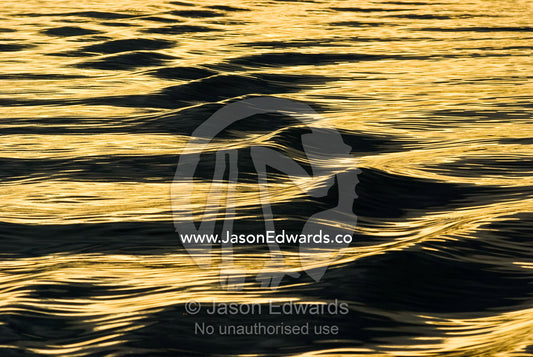Golden sunlight at sunset on the waves of a motorboat wake. Bancroft Bay, Gippsland Lakes, Victoria, Australia.