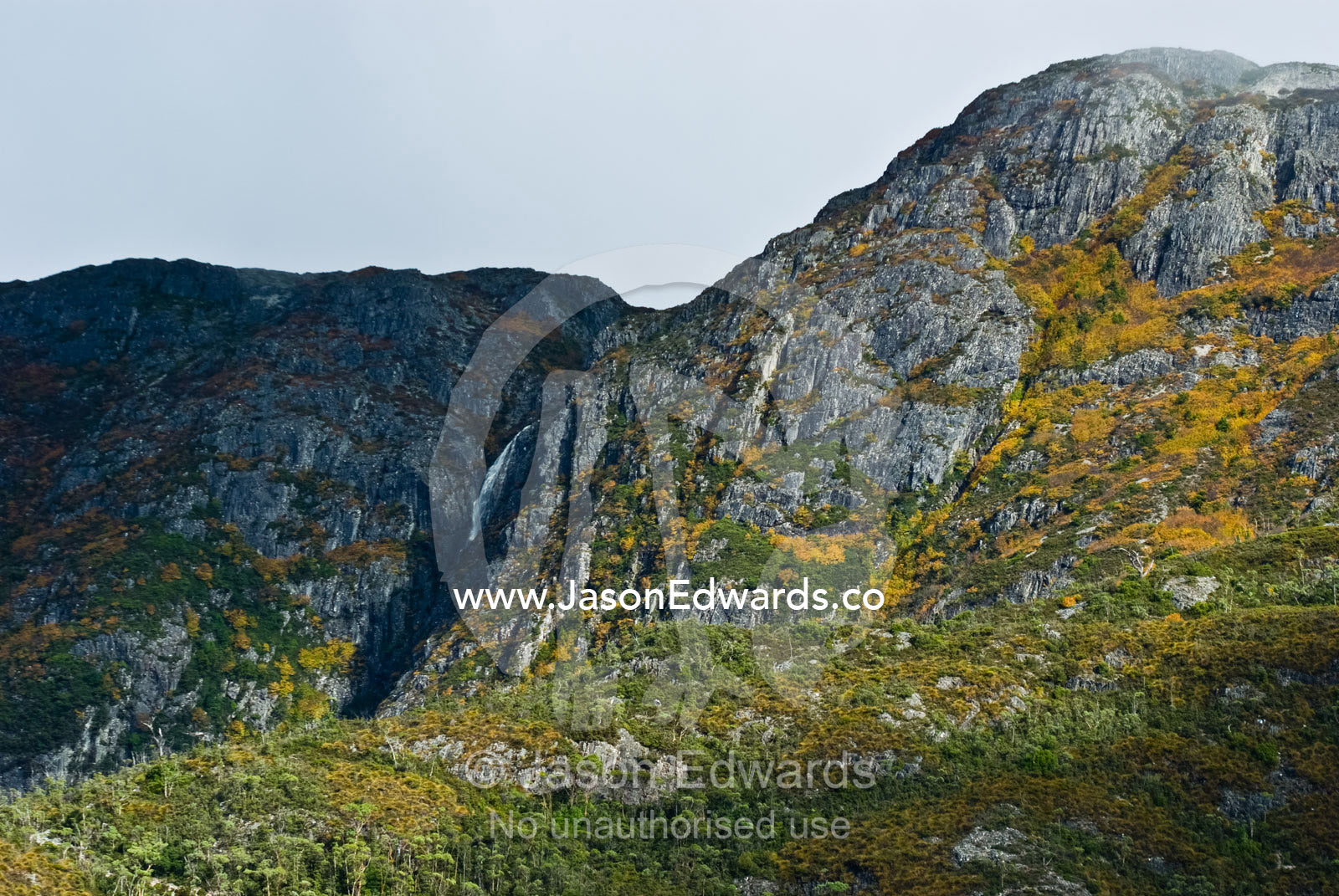 A waterfall cascades down a sheer glacial cliff of the Cradle Plateau. Cradle Plateau, Cradle Mountain Lake St Clair National Park, Tasmania, Australia.