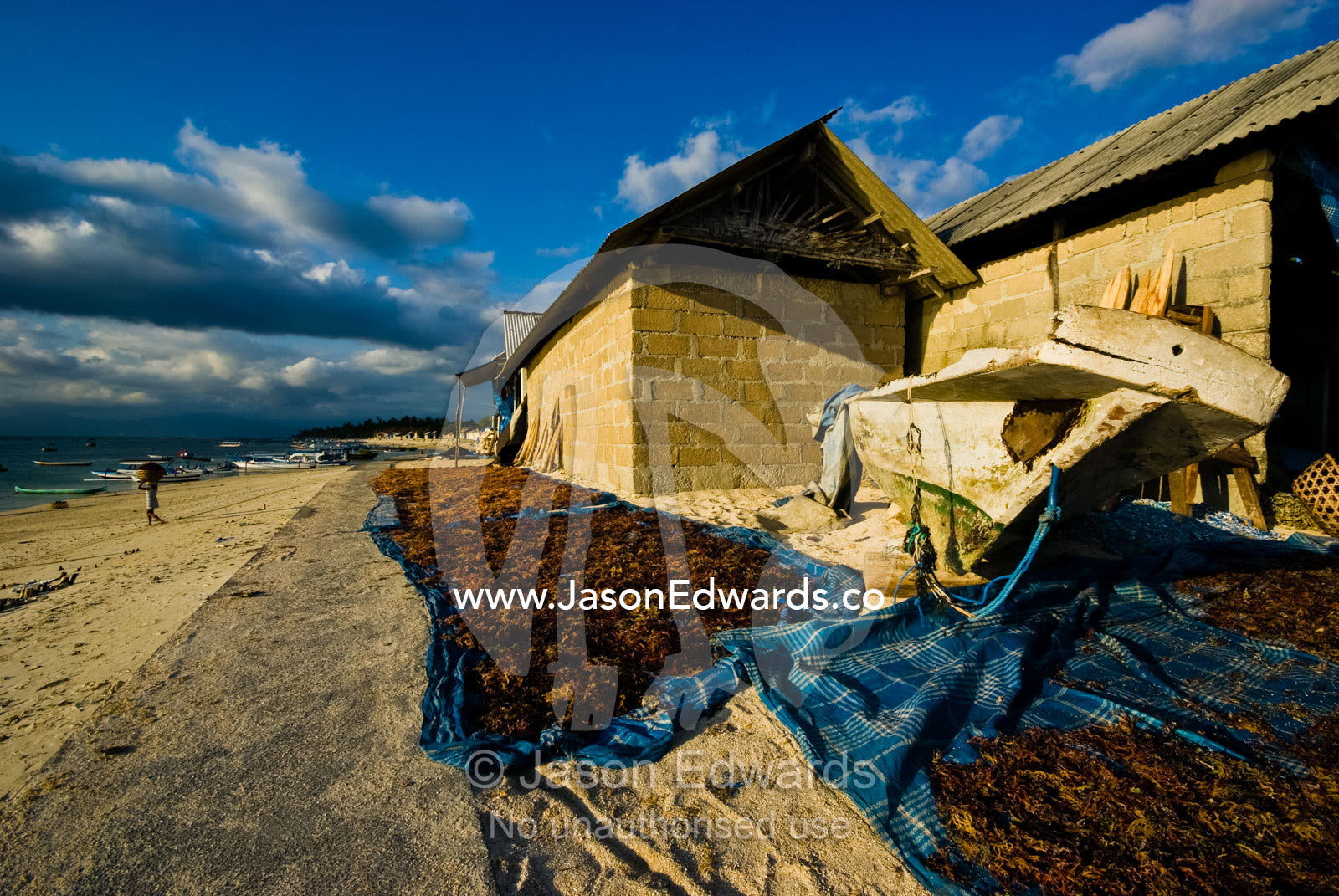 Seaweed for commercial sale drying in the sun by a seaside village. Nusa Lembongan Island, Bali, Indonesia.