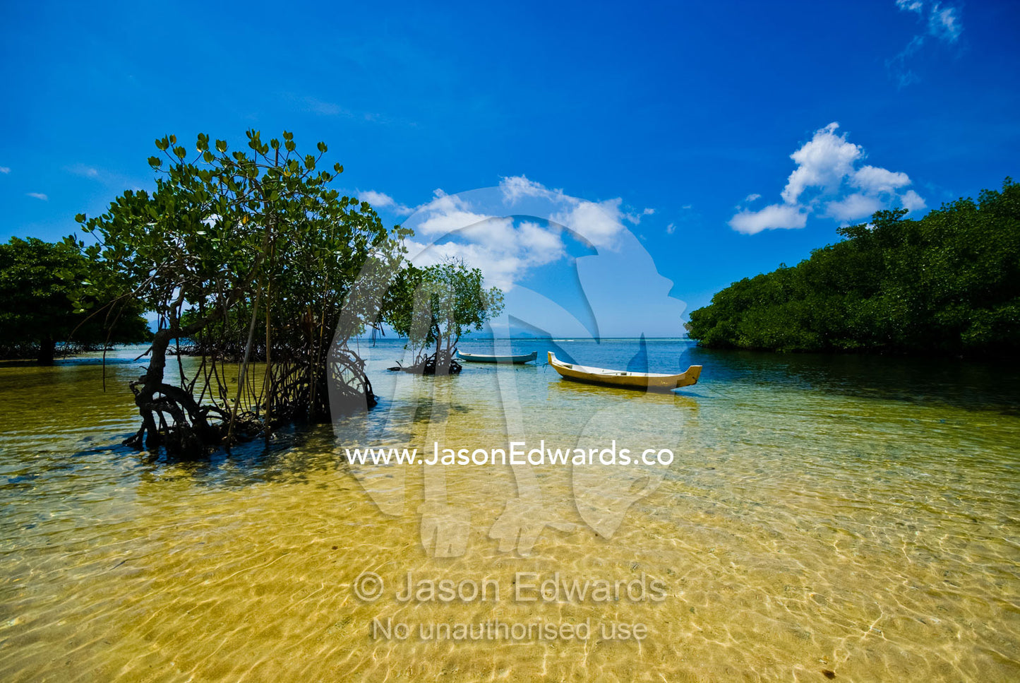Small colorful boats moored in a tiny bay on a sunny tropical island. Jangka, Mangrove Point, Nusa Lembongan Island, Bali, Indonesia.