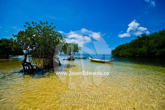 Small colorful boats moored in a tiny bay on a sunny tropical island. Jangka, Mangrove Point, Nusa Lembongan Island, Bali, Indonesia.