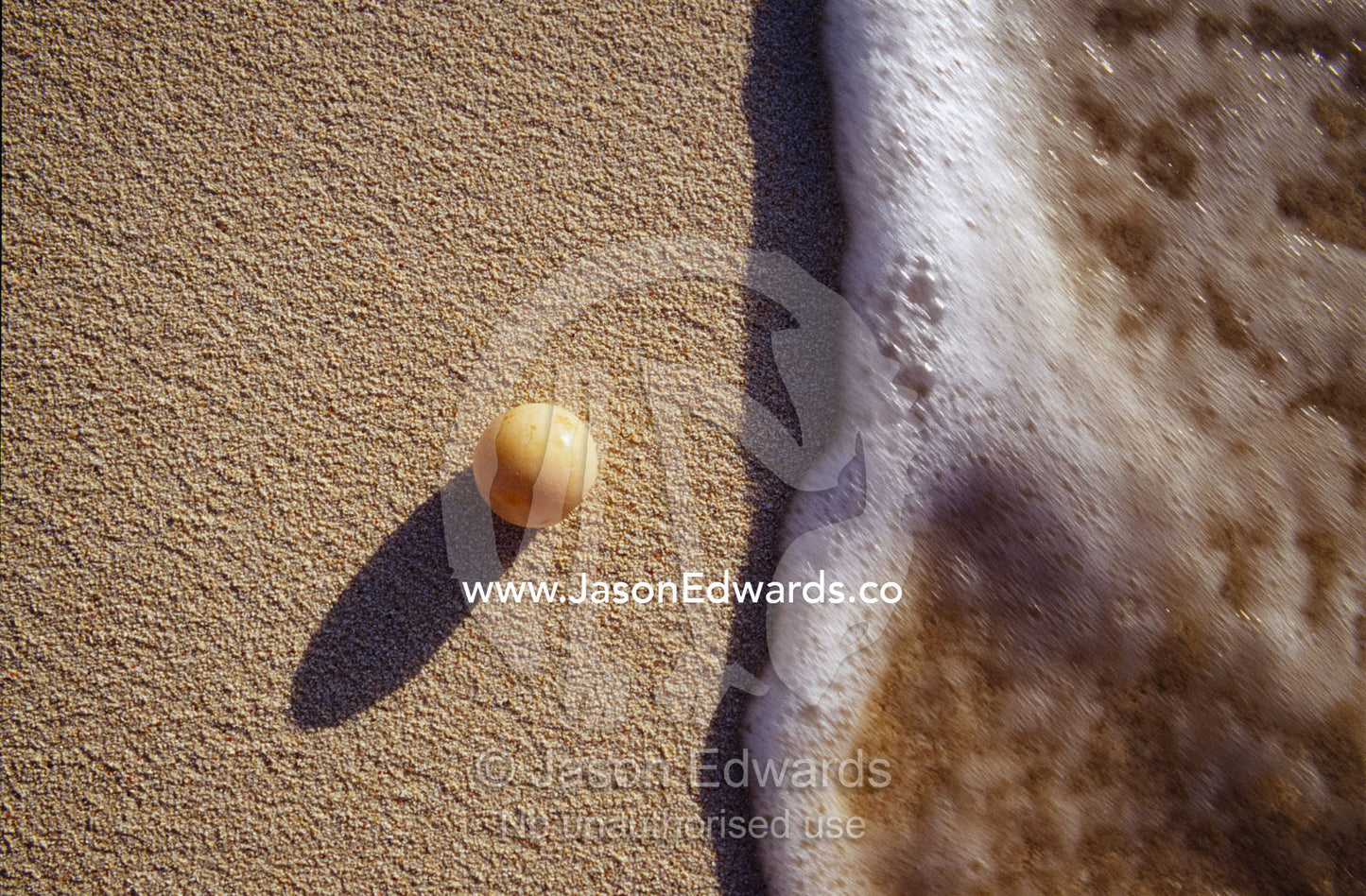 Waves approach an endangered green sea turtle egg exposed on a beach. East Diamond Island, Coral Sea Islands Territory, Australia.