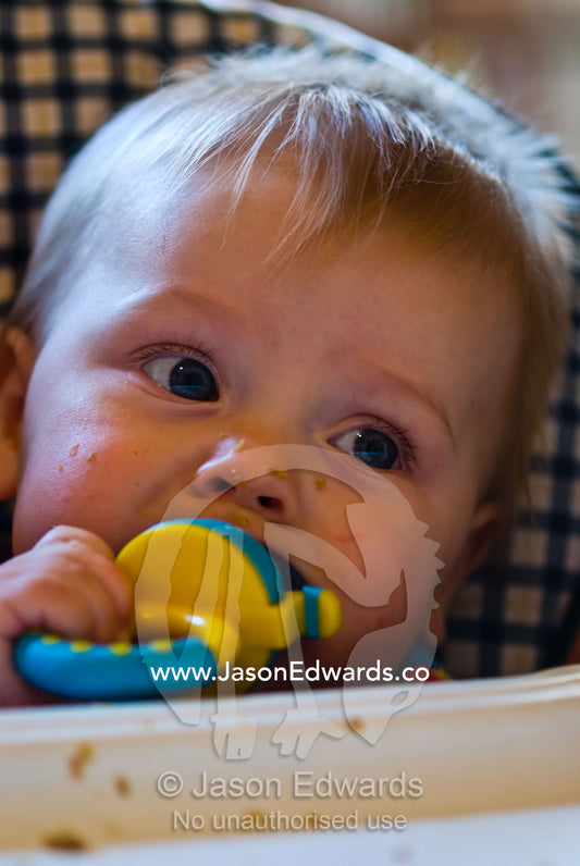A baby feeds on fresh fruit inside a dispenser that prevents choking. North Carlton, Victoria, Australia.
