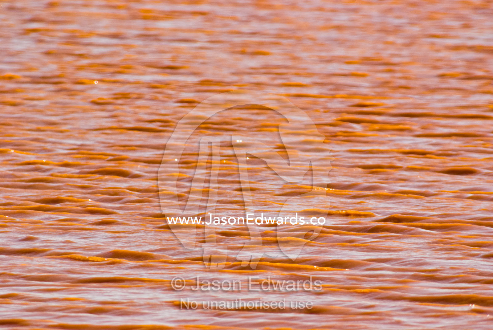 Desert winds ripple the surface of a national park water reservoir. Sturt National Park, New South Wales, Australia.