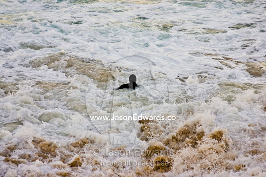 A lone swimmer battles turbulent currents and a treacherous sea. Gunnamatta Beach, Point Nepean National Park, Victoria, Australia.