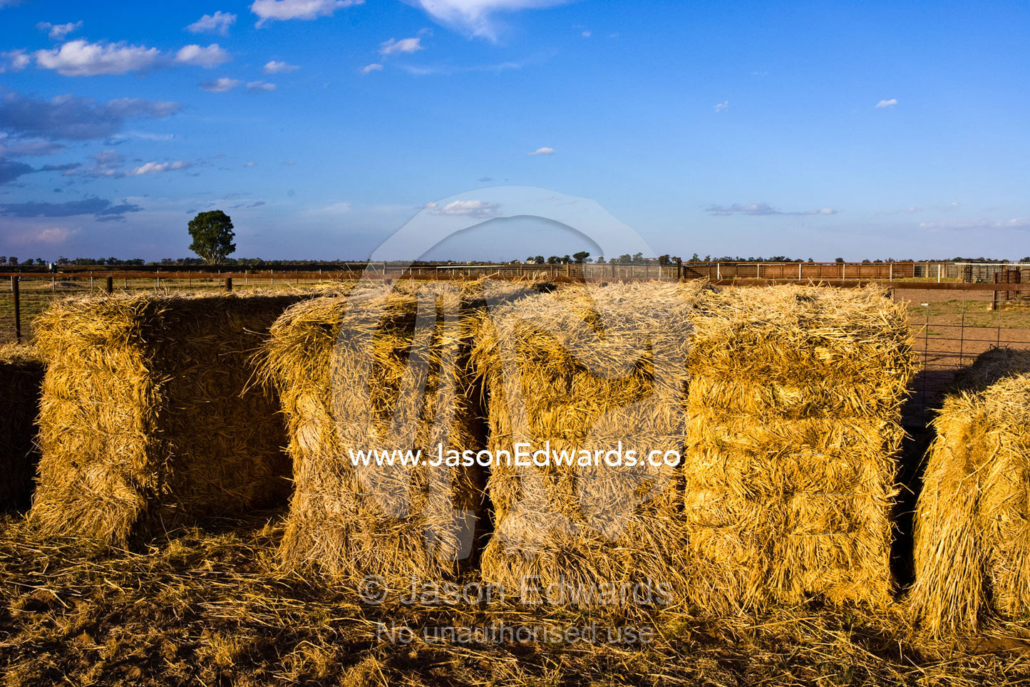 Hay bales provide feed for sheep on a drought-stricken farm. Mundiwa Station, Deniliquin, New South Wales, Australia.