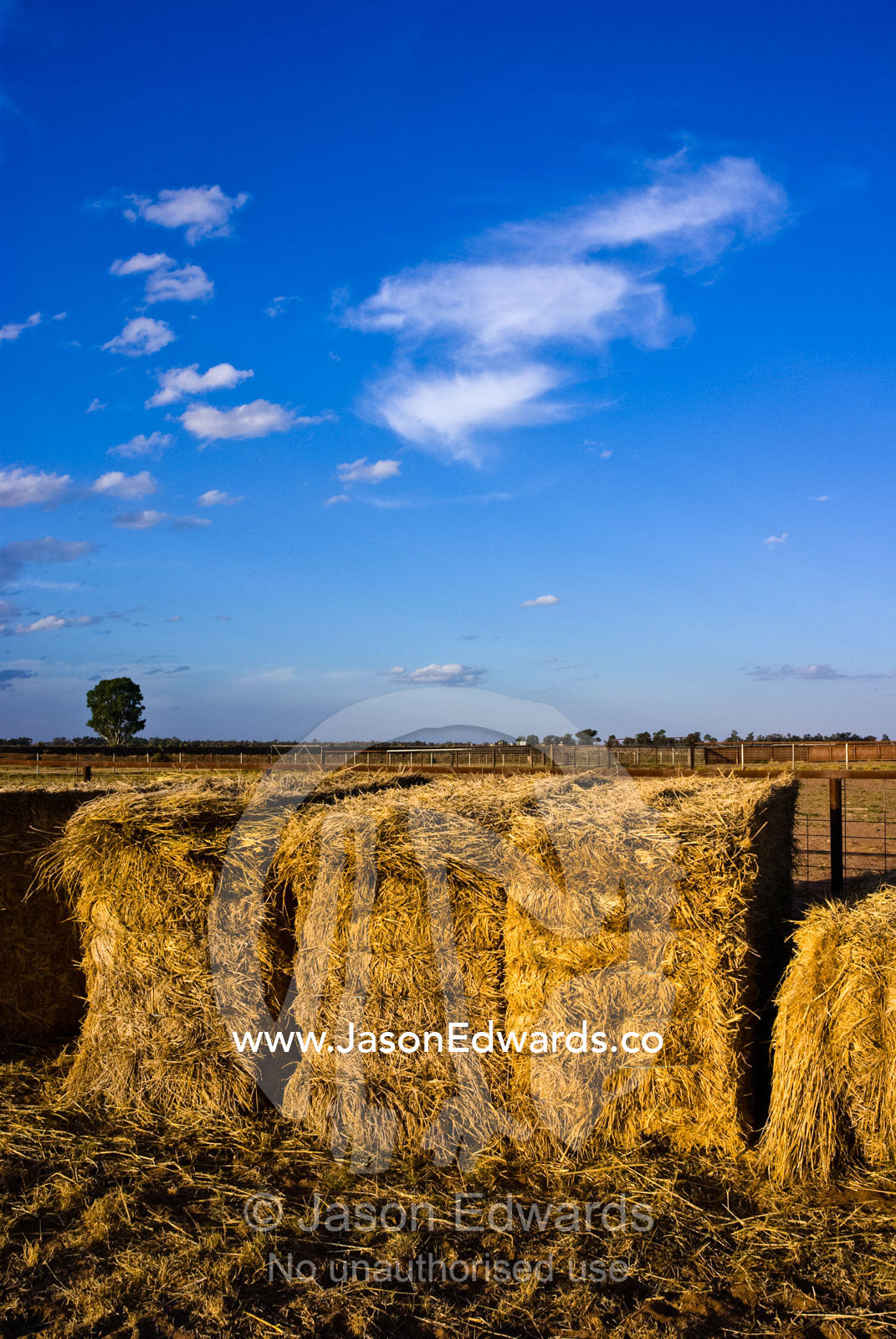 Hay bales provide feed for sheep on a drought-stricken farm. Mundiwa Station, Deniliquin, New South Wales, Australia.
