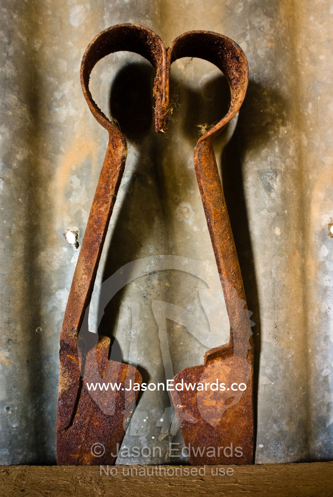 Rusting antique hand clippers in a corrugated sheep shearing shed. Mundiwa Station, Deniliquin, New South Wales, Australia.