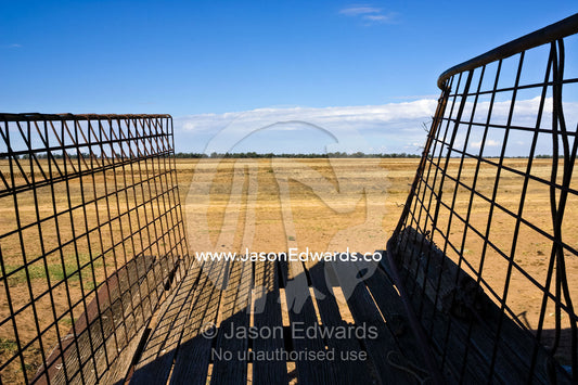 A shearing shed sheep race looks out upon drought-stricken farmland. Mundiwa Station, Deniliquin, New South Wales, Australia.