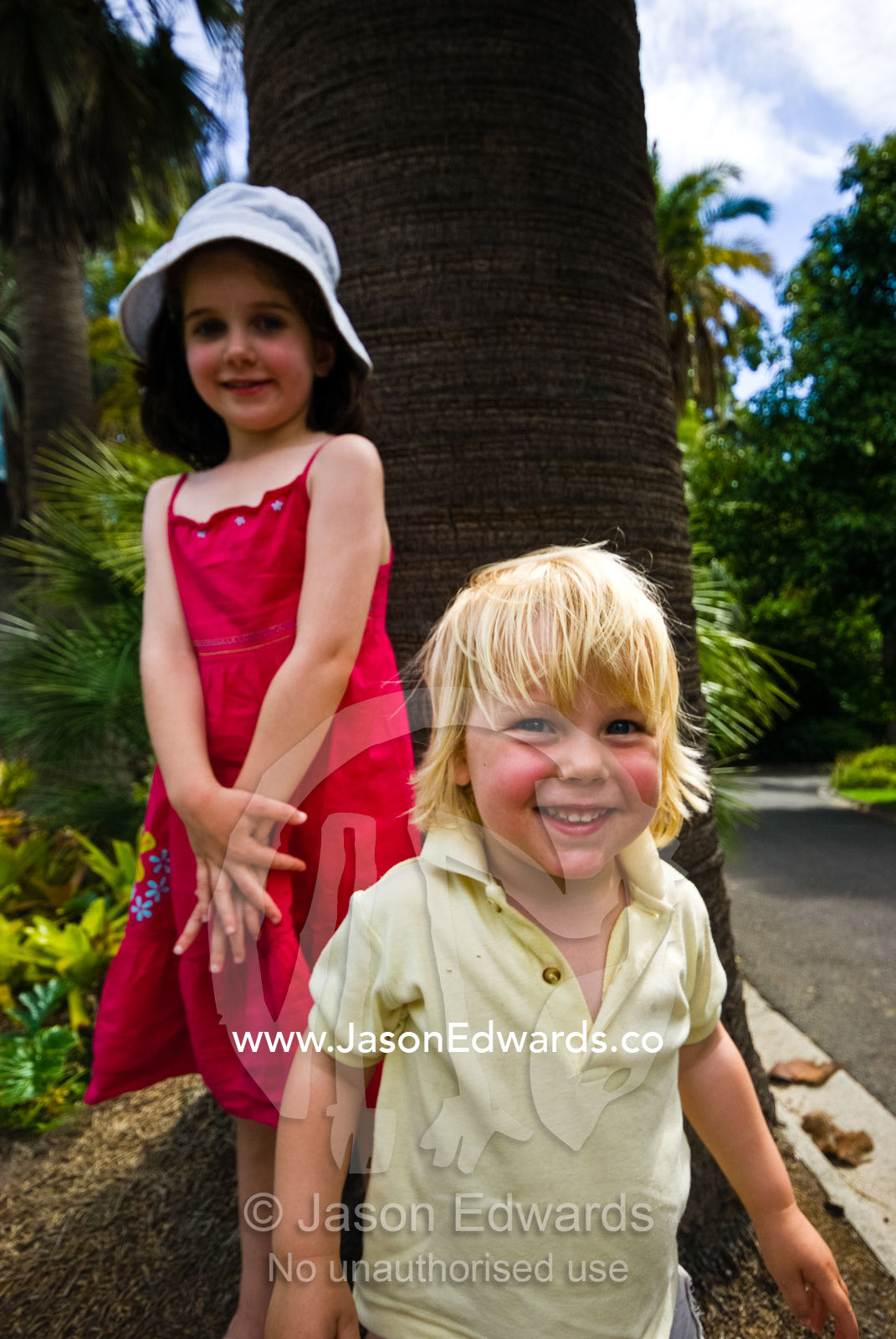 Two friends playing around a palm tree in an historic garden. Royal Botanic Gardens, Melbourne, Victoria, Australia.