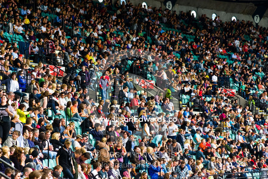 Crowds gather for a music festival to raise funds for bushfire relief. The MCG, Melbourne Cricket Ground, Melbourne, Victoria, Australia.