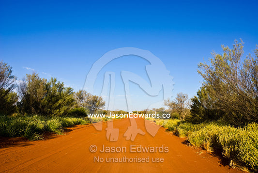 A red sandy track passes through the scrub in a remote outback desert. Sturt National Park, New South Wales, Australia.