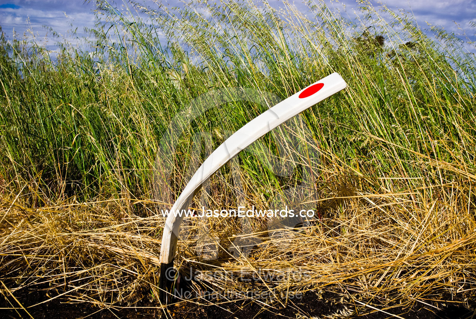 A road marker bent over by impact leans against windblown crop grasses central Victoria, Australia.
