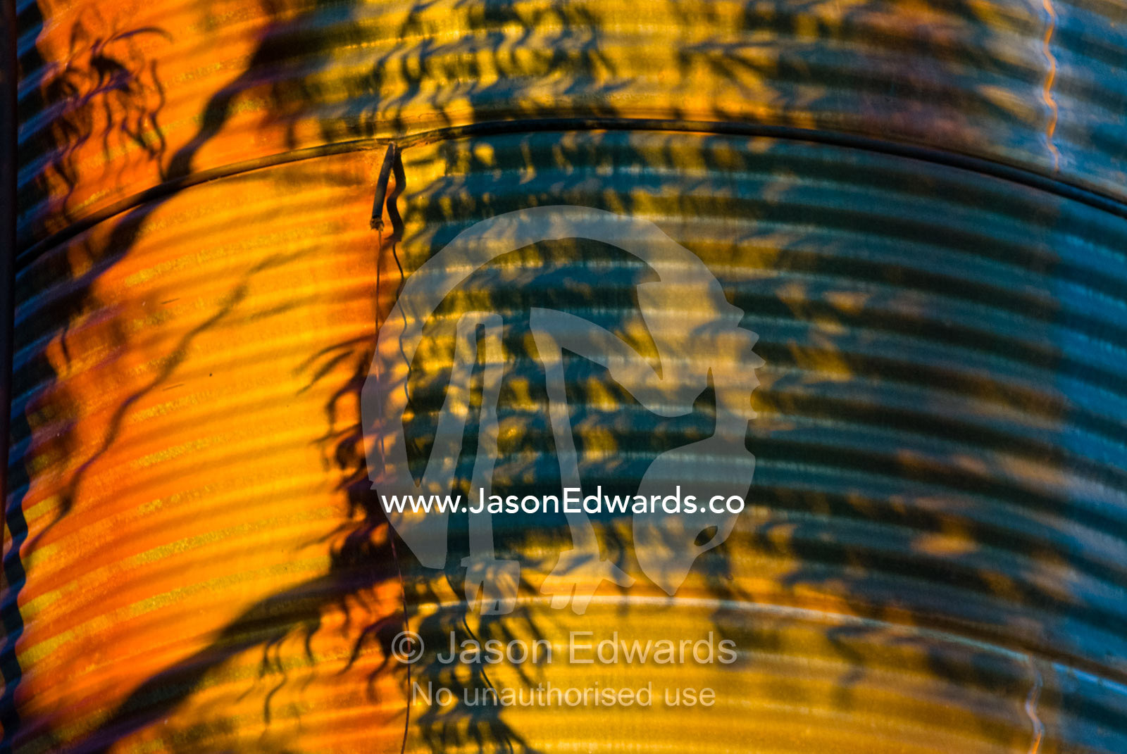 The leaves of a eucalyptus tree cast shadows on a rusty water tank. Mount Wood Station, Sturt National Park, New South Wales, Australia.