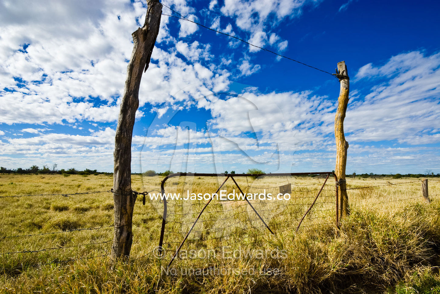 An antique tree stump fence holds a gate to dry farmland pasture. Hughenden, Queensland, Australia.