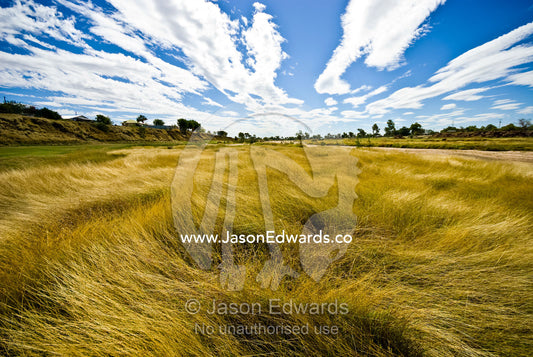 Tall dry season grass lines the shore of the Flinders River in drought Flinders River, Hughenden, Queensland, Australia.
